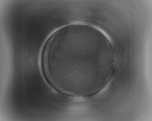 X0000102301007200808081540