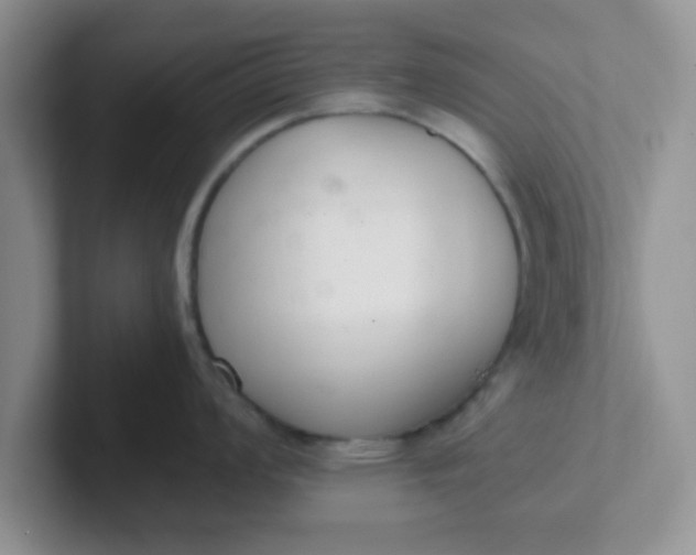 X0000102301008200808081540