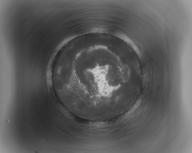 X0000102301019200808081540