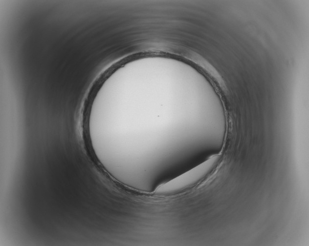 X0000102301020200808081540