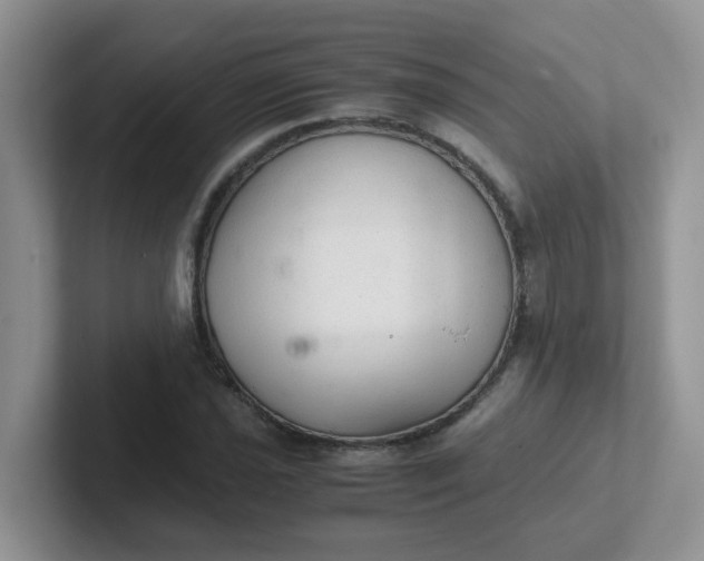 X0000102301021200808081540