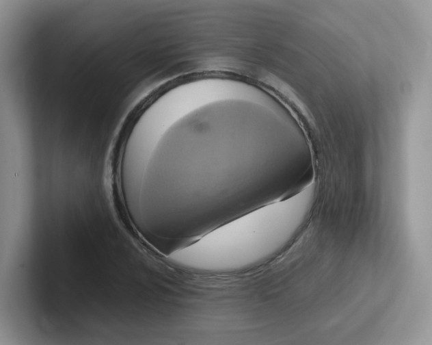 X0000102301024200808081540