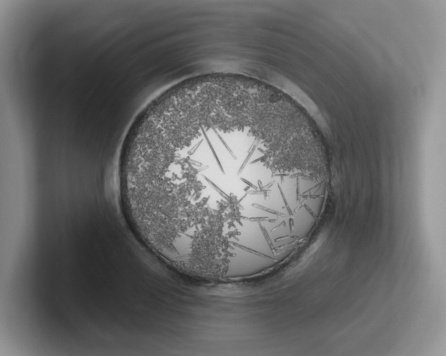 X0000102301028200808081540