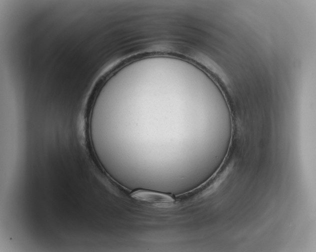 X0000102301029200808081540