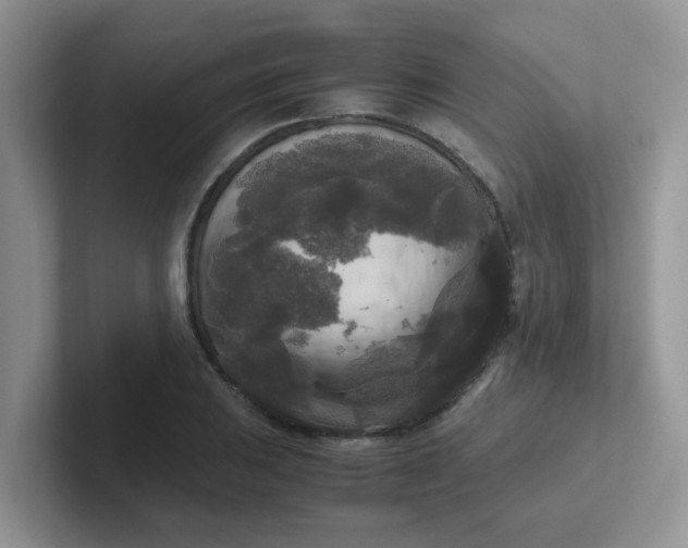 X0000102301031200808081540