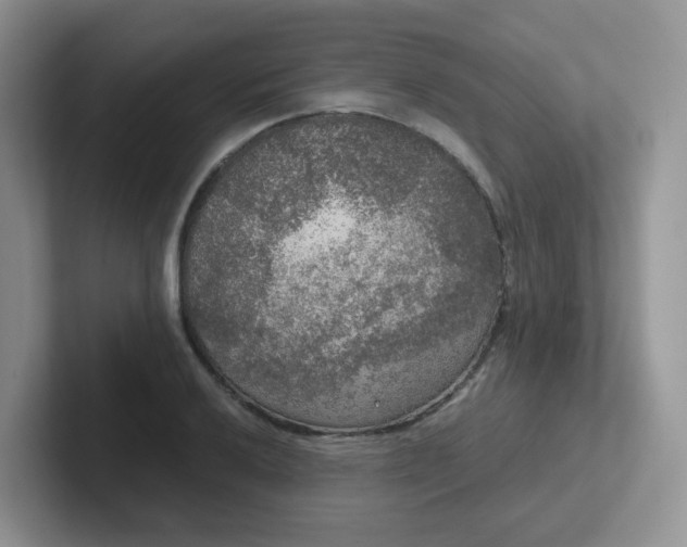 X0000102301032200808081540