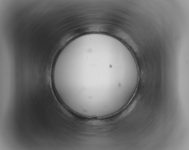 X0000102301033200808081540