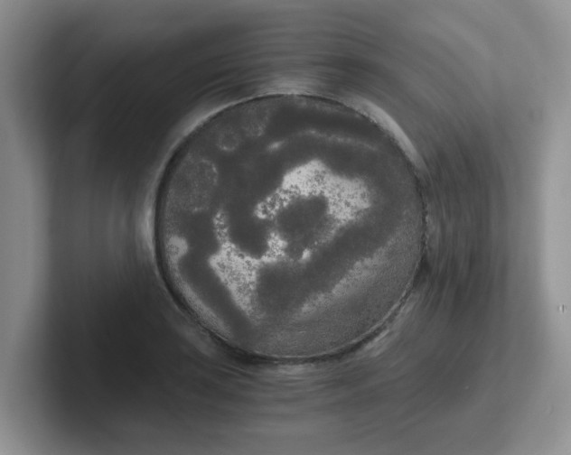 X0000102301035200808081540