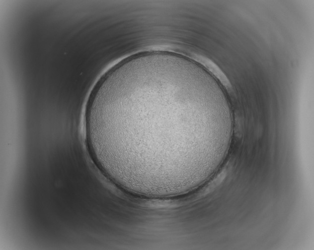 X0000102301036200808081540