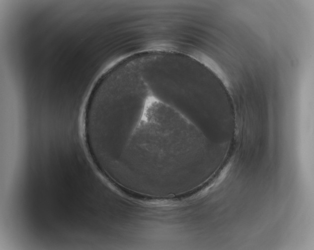 X0000102301037200808081540