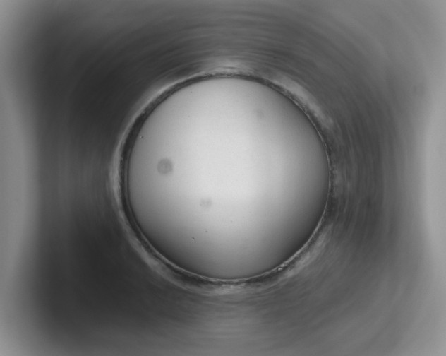 X0000102301038200808081540