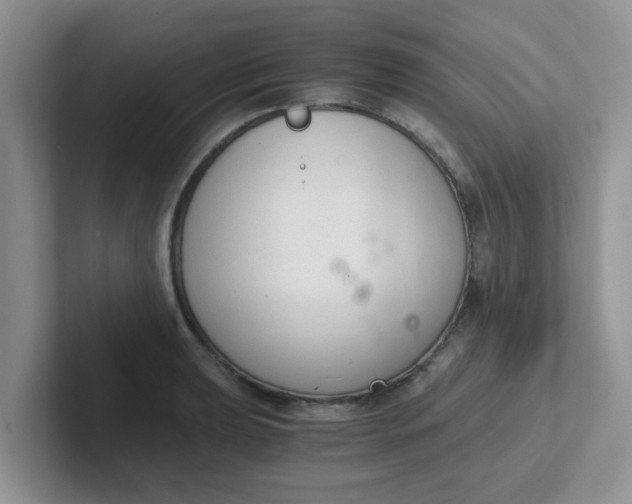 X0000102301039200808081540