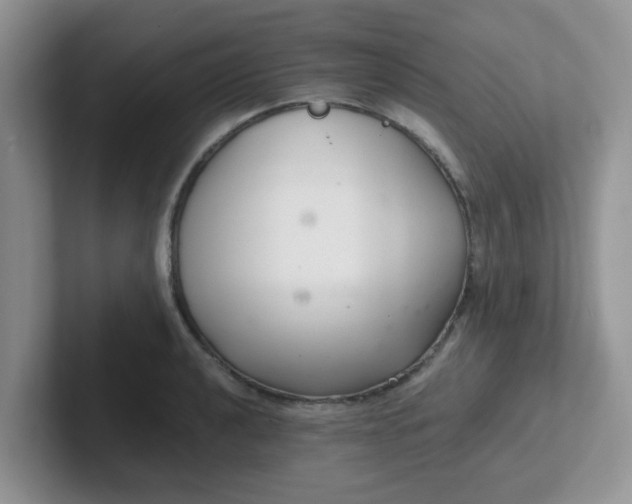 X0000102301040200808081540