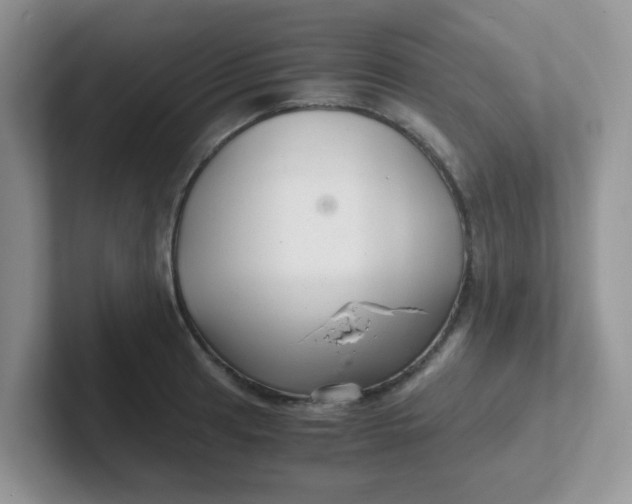 X0000102301041200808081540