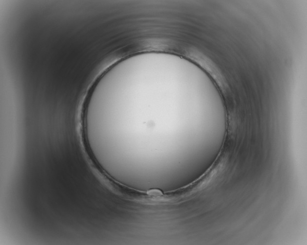 X0000102301042200808081540