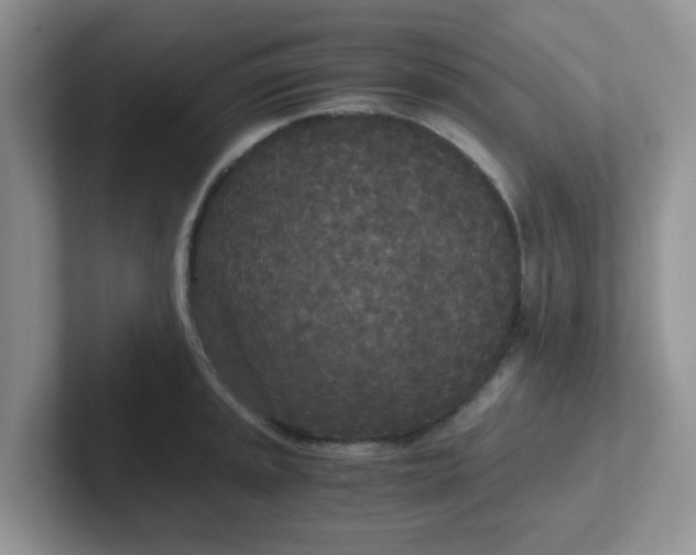 X0000102301045200808081540