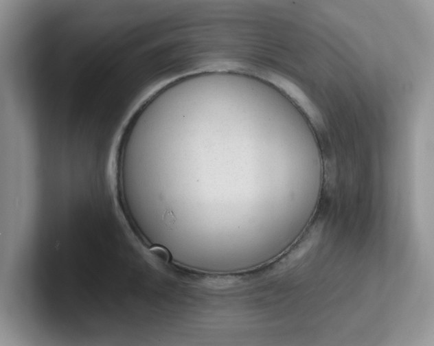 X0000102301046200808081540