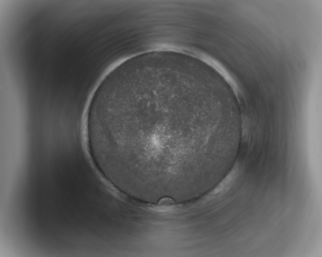 X0000102301048200808081540