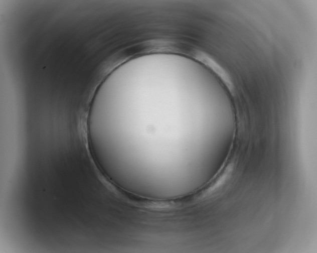 X0000102301049200808081540