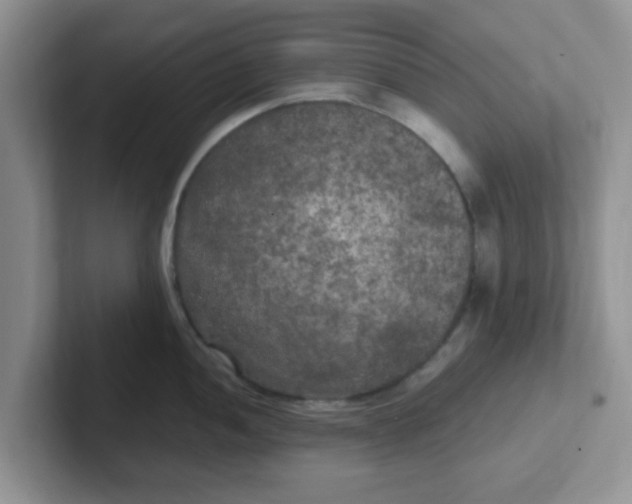 X0000102301052200808081540