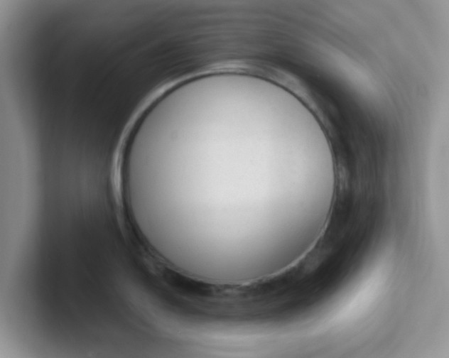 X0000102301054200808081540