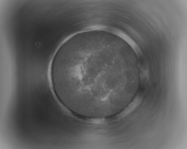 X0000102301055200808081540