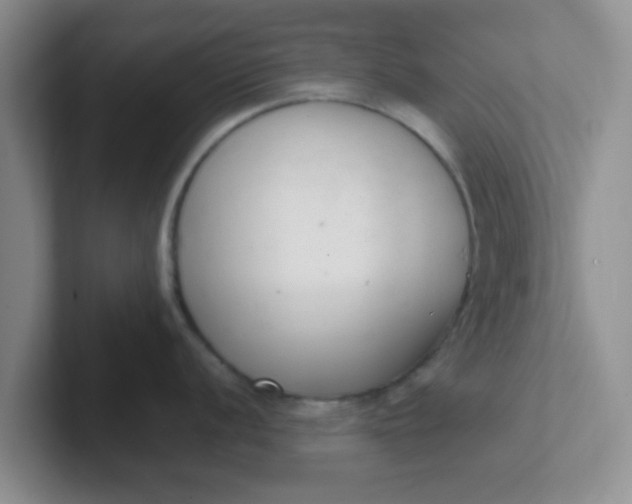 X0000102301056200808081540