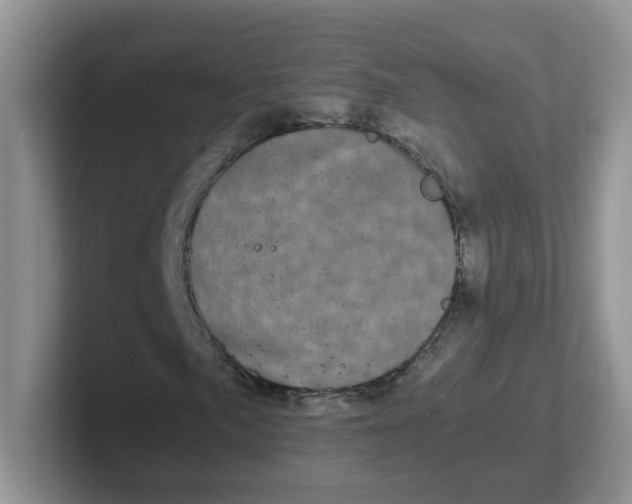 X0000102301057200808081540