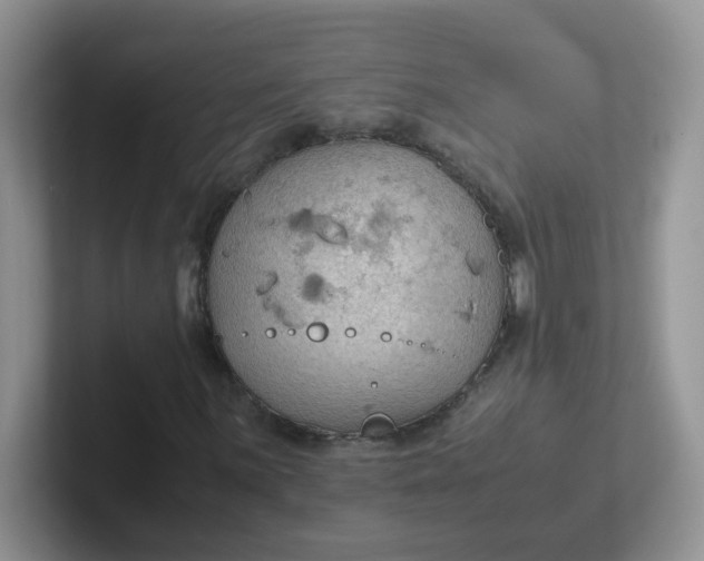 X0000102301059200808081540