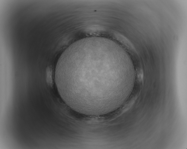 X0000102301060200808081540