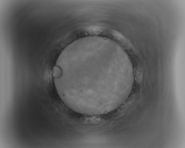 X0000102301061200808081540