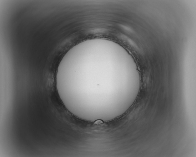 X0000102301062200808081540