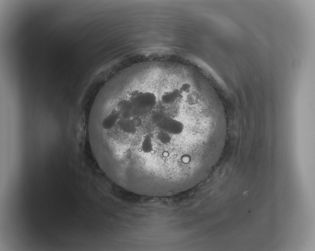 X0000102301063200808081540