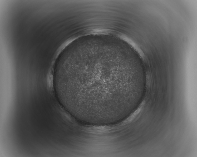 X0000102301066200808081540