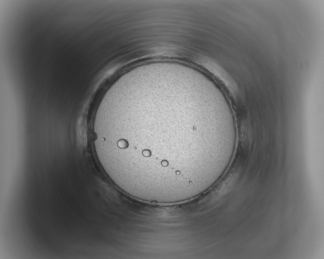 X0000102301067200808081540