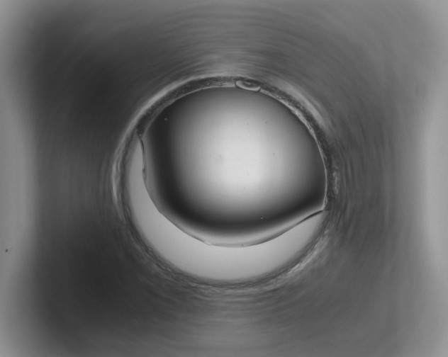 X0000102301069200808081540