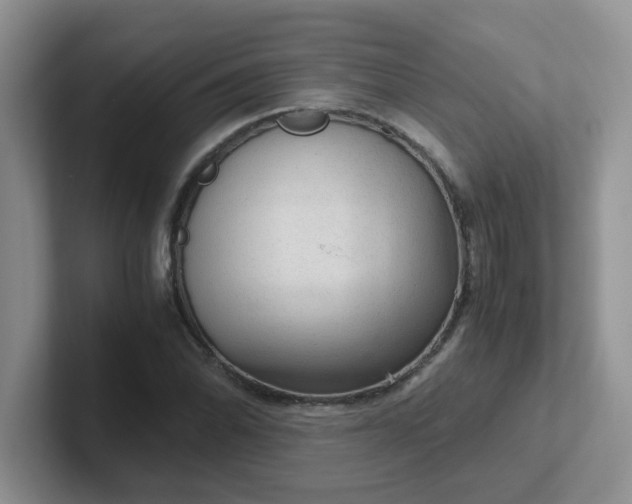 X0000102301070200808081539