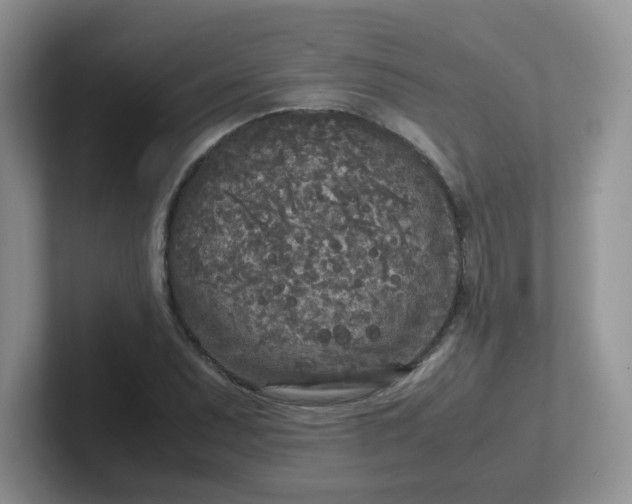 X0000102301071200808081539