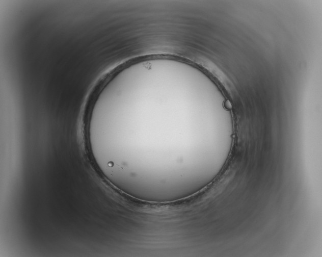 X0000102301072200808081539