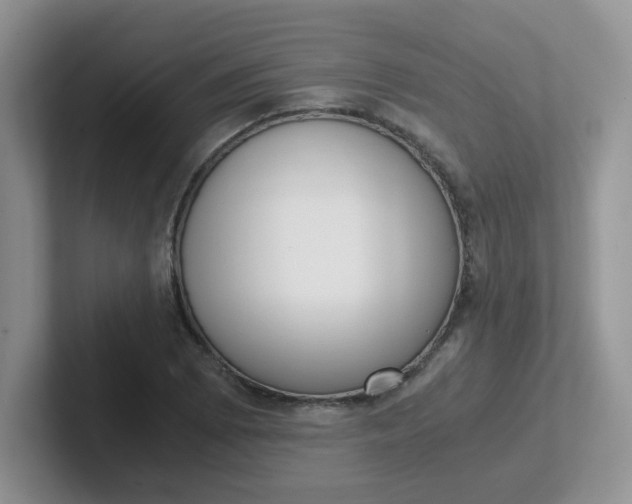 X0000102301073200808081539