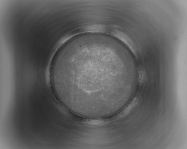 X0000102301074200808081539