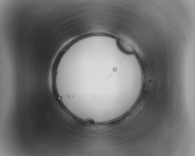 X0000102301076200808081539