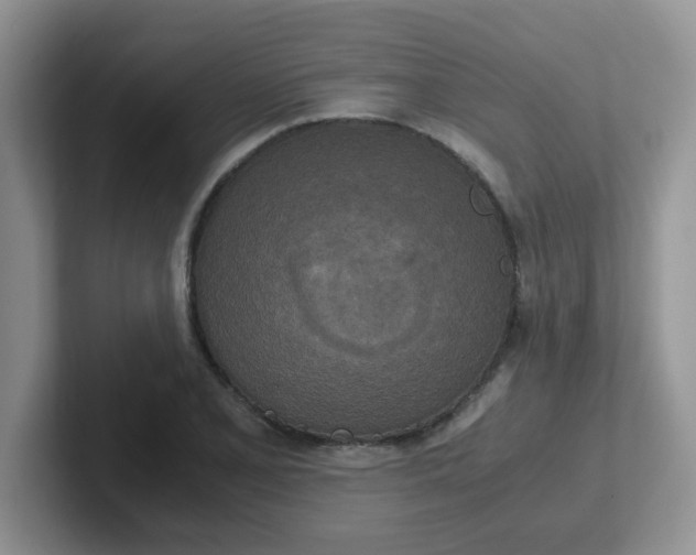 X0000102301077200808081539