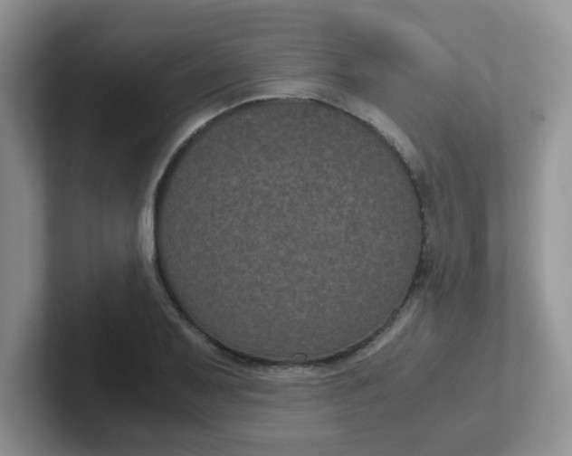 X0000102301079200808081539