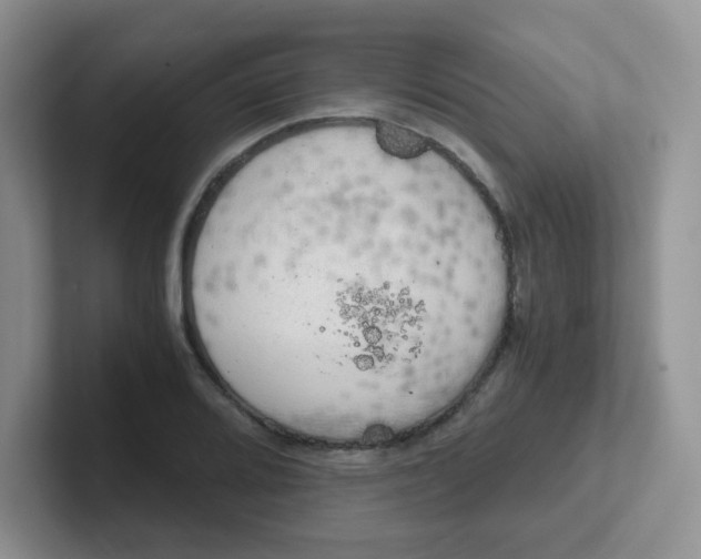 X0000102301080200808081539