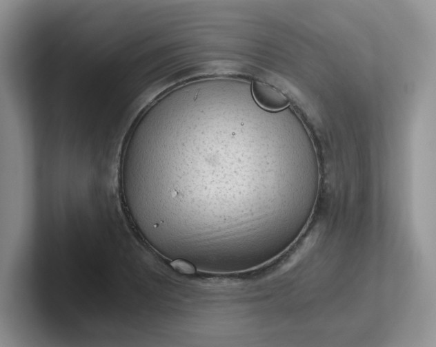 X0000102301081200808081539