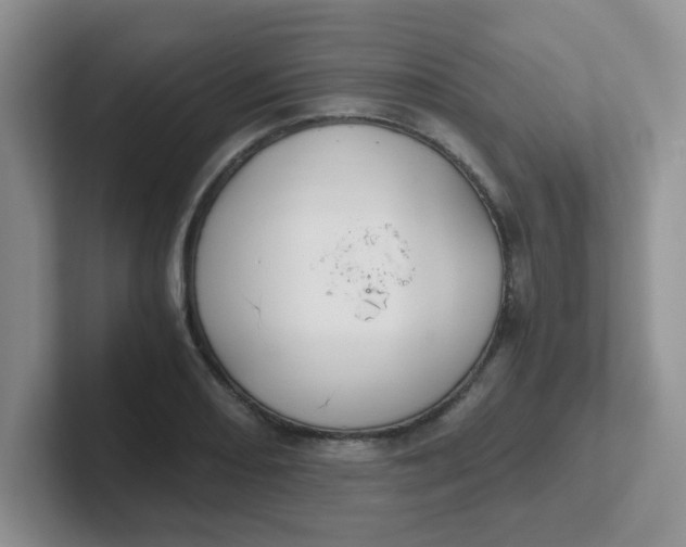 X0000102301082200808081539