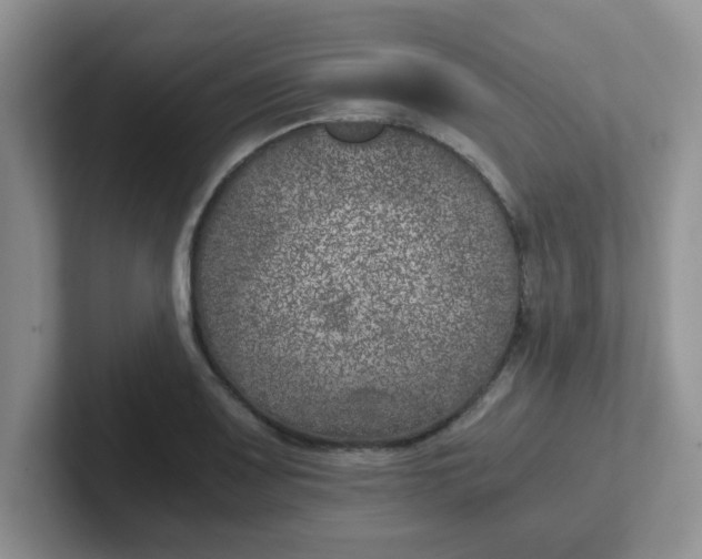 X0000102301083200808081539