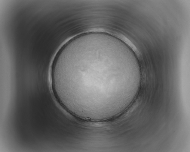 X0000102301084200808081539