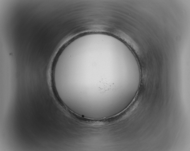 X0000102301085200808081539